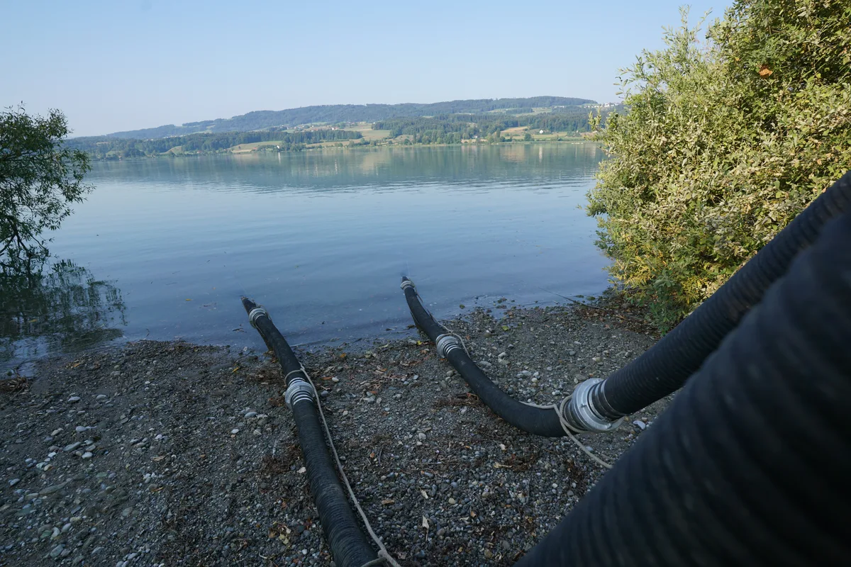 Ein Bild von den Schläuchen, die Wasser aus dem Greifensee abpumpen